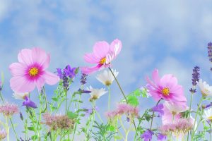 Urrna non tincidunt mattis