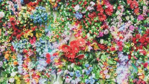 Read more about the article Interdum magna augue eget