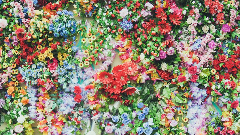 You are currently viewing Interdum magna augue eget